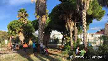 Restyling del verde pubblico a Cervo, studenti francesi all’opera - La Stampa