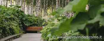 Pronta l'opera di Piano E nel progetto del verde c'è il saper fare comasco - La Provincia di Como