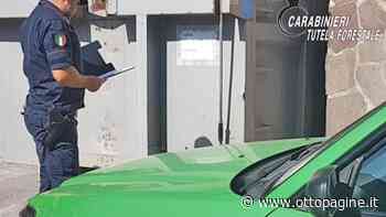 Abusi edilizi e scarico di sostanze chimiche: concerie di Solofra nel mirino - Ottopagine