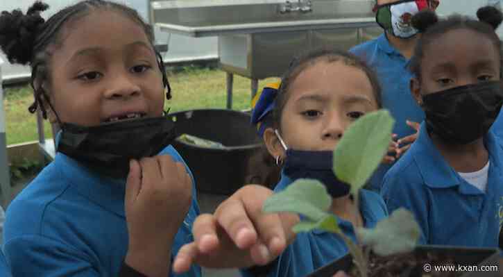 North Austin school's farm aims to teach students sustainability, provide access