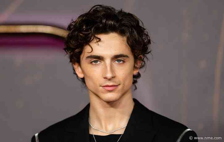 Timothée Chalamet confirms he used to mod Xbox controllers on YouTube