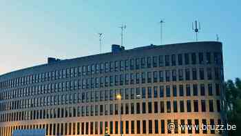 Nog altijd geen windmolen in Brussel: 'Iemand moet de spits afbijten' - BRUZZ