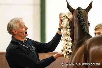 Top-paardenfysiotherapeut en dressuurtrainster geven kijk achter de schermen