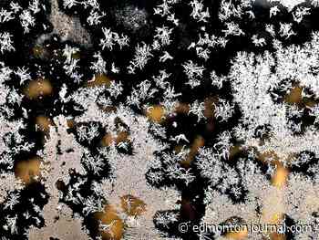 Edmonton weather: Chilly mornings lead to carsicles