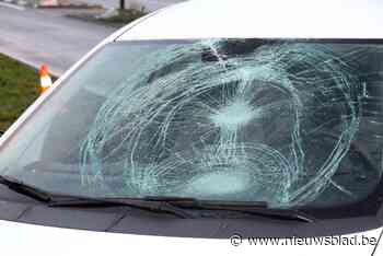 Vandalen gooien kassei door autoruit