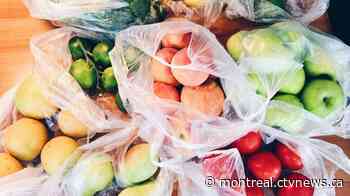 Single-use plastic bags and cutlery to be banned in Laval - CTV News Montreal