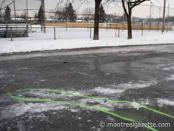 Laval teen charged with murder will present a defence - Montreal Gazette