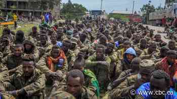 Ethiopian leader, marking year of war, says he will bury foes 'with our blood'