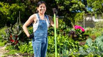 Waitara gardener volunteers to grow fresh veges for local food bank - Stuff.co.nz