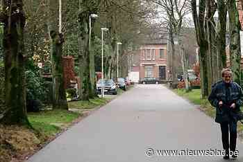Kapelse straten krijgen er tachtig nieuwe bomen bij