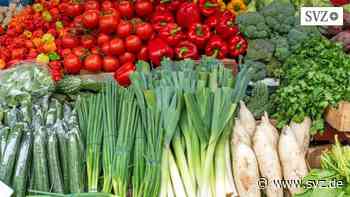 Gesunde Ernährung: Entzündungen vermeiden: Diese sechs Lebensmittel sollten Sie essen | svz.de - svz.de