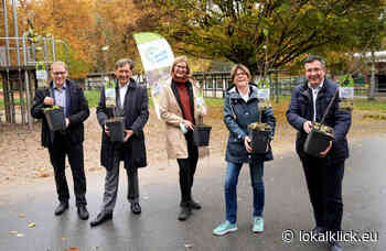 Ausgabe von Klima-Bäumen im Grugapark Essen - Lokalklick.eu - Online-Zeitung Rhein-Ruhr