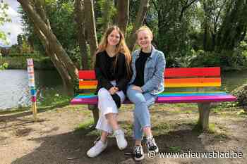 Vandalen gooien regenboogzitbank in het water