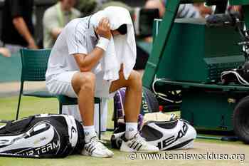 Novak Djokovic recalls: 'My tennis was stupid against Tomas Berdych at Wimbledon' - Tennis World USA
