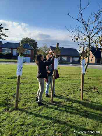 Allerheiligen bij Troostplekje Brelaar Heide (Beringen) - Het Belang van Limburg Mobile - Het Belang van Limburg