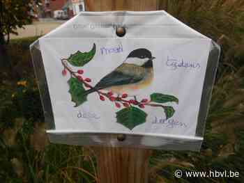 Allerheiligen bij het troostplekje in Paal Centrum (Beringen) - Het Belang van Limburg Mobile - Het Belang van Limburg