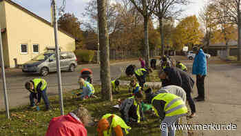 Türkheim: 1.000 Blumen für die Kindergärten - Merkur Online