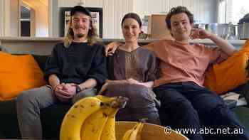 These are the most cost-effective ways you can move towards net zero, and cut your energy bill too