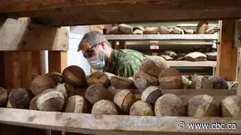 About 100 cannonballs from the Fortress of Louisbourg in N.S. to be safely detonated