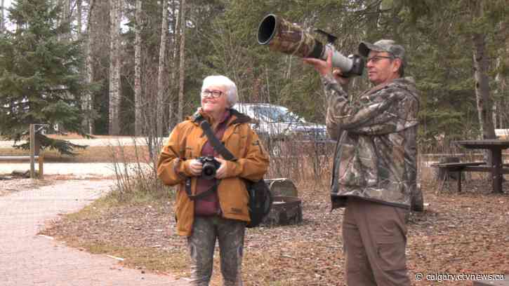 Photographers fundraising for wildlife rehab facility