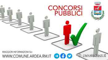 Ardea, continua il piano di assunzione nel comune: i nuovi concorsi - Canale Dieci