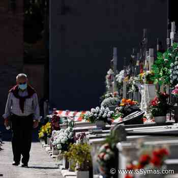 La tradición se impone a la novedad: las flores preferidas para el Día de Todos los Santos - 65ymas.com