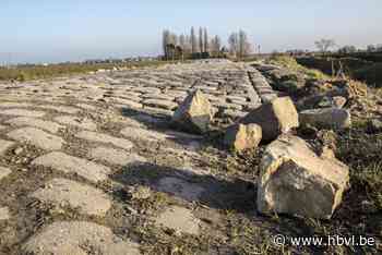 Stomdronken man smijt kassei door ruit van verkeerde woning: “Hij was weg van de wereld” - Het Belang van Limburg