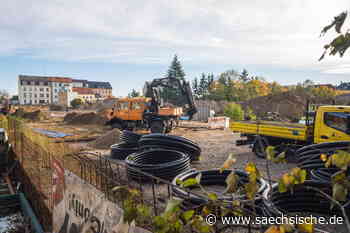 Riesa: Brauhaussiedlung stößt auf Neugier - Sächsische.de