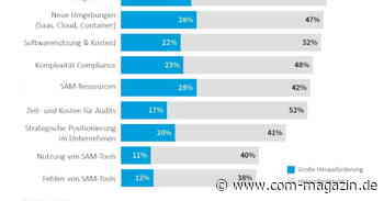 Nachholbedarf beim IT-Management - com! professional - com-magazin.de