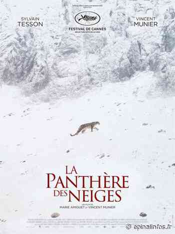 Cinés Palace d'Epinal : "La Panthère des neiges" en présence de l'équipe du film - Epinal infos - Epinal Infos