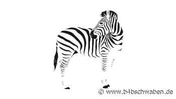 Rassismus im Marketing – No Way! - trumedia Brand Lab - B4B Schwaben