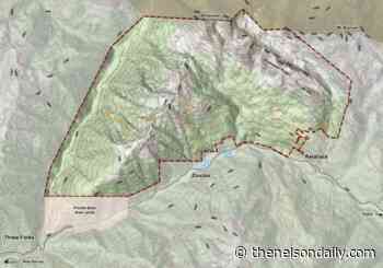 Op/Ed: Is the Cost Too High? - The Nelson Daily