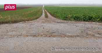 Was ist mit dem Radweg zwischen Pfeddersheim und Heppenheim? - Wormser Zeitung