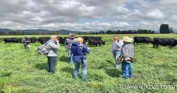 Montana Angus breeders participate in beef genetics trade mission to Colombia - KTVQ Billings News