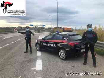 AGGREDISCONO IL CAPOTRENO SUL TERMOLI PESCARA: UN ARRESTO E UNA DENUNCIA - Molise Web