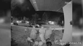 Doorbell camera captures Calgary trick-or-treaters giving back - CTV News Calgary