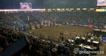 Professional bull riding returns to SaskTel Centre - Globalnews.ca
