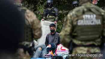 Sie bewarfen Soldaten mit Steinen: Migrantengruppe versucht Durchbruch an Polens Grenze - Politik - Tagesspiegel