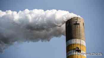 Even a climate crisis can't stop the world's appetite for burning coal