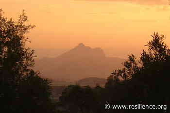 Indigenous and feminine wisdom: an interview with Ella Noah Bancroft - Resilience