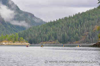 BOATING WITH BARB: Kayakers, paddlers and other human-powered vessels - Comox Valley Record