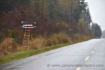 Telus proposes solution for poor cell coverage in rural Comox Valley neighbourhood – Comox Valley Record - Comox Valley Record