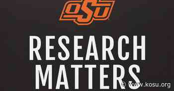 The emphasis for communication and authenticity in architecture - KOSU