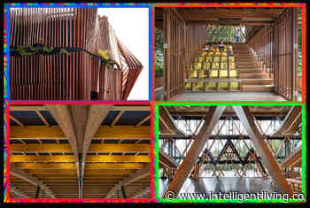 Stunning Wooden Buildings Showcase Versatility of Wood At World Architecture Festival - Intelligent Living