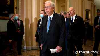 'An earthquake': GOP rides high after Democrats' Tuesday shellacking