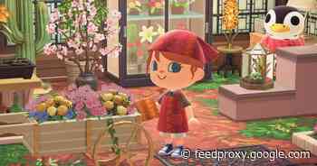 Animal Crossing: New Horizons 2.0 update is live -- Everything you need to know     - CNET