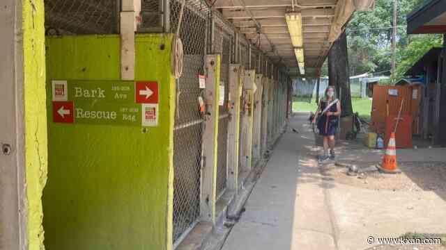 Thursday vote could allow Austin Pets Alive! to take in animals from outside Central Texas