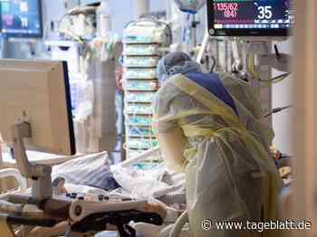 Experten erwarten keinen entspannten Corona-Winter - Landkreis Stade - Tageblatt-online