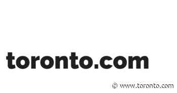 Toronto police urge vigilance as vehicle thefts on rise in northwest Toronto - Toronto.com