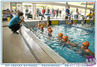 IOWEBBO - NUOTO - OTTIMI RISULTATI PER LO SPORTFLY SORA - ioWebbo